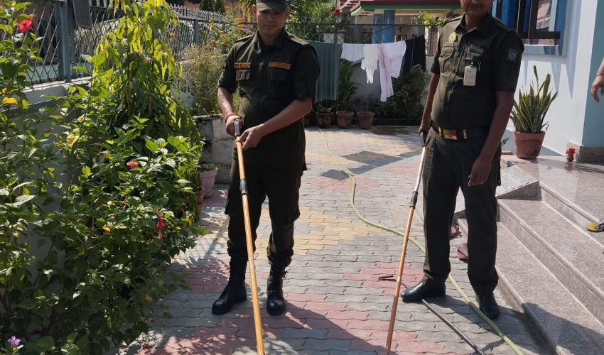 उपमहानगरको सक्रियता: ३ हजार १०० बढी सर्प उद्धार