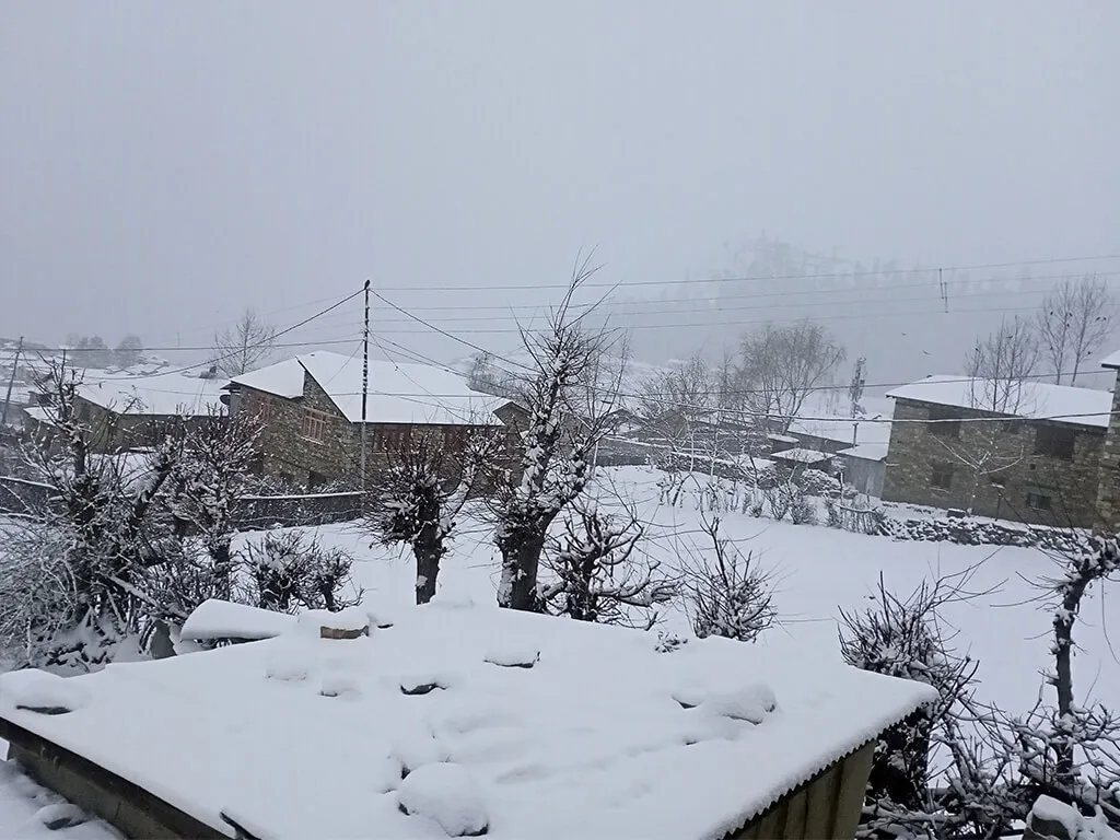 हिमपातसँगै किसानमा आशा, स्याउदेखि गहुँबाली सप्रने अपेक्षा