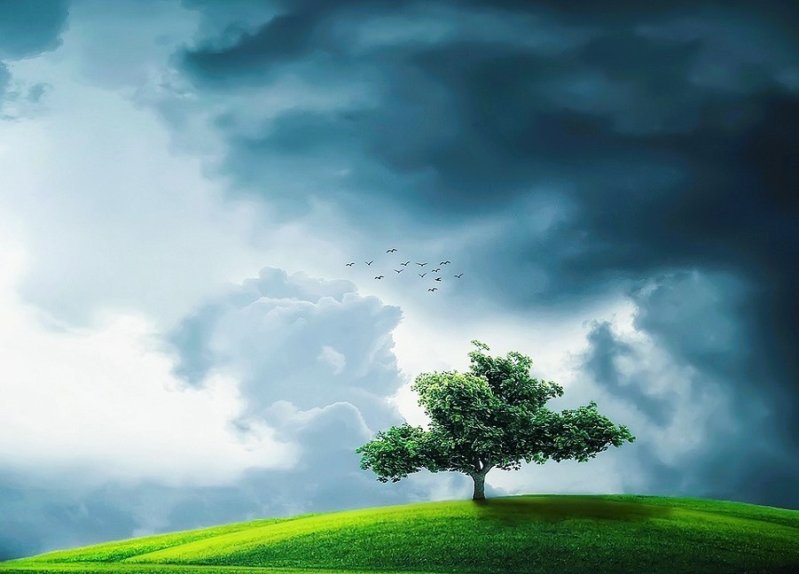 ‘आजको अवलोकन, भोलिको सुरक्षा’ नारासहित विश्व जल तथा मौसम दिवस मनाइँदै